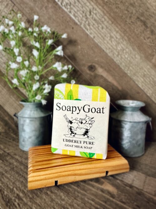 Lime / Mint Bar Soap